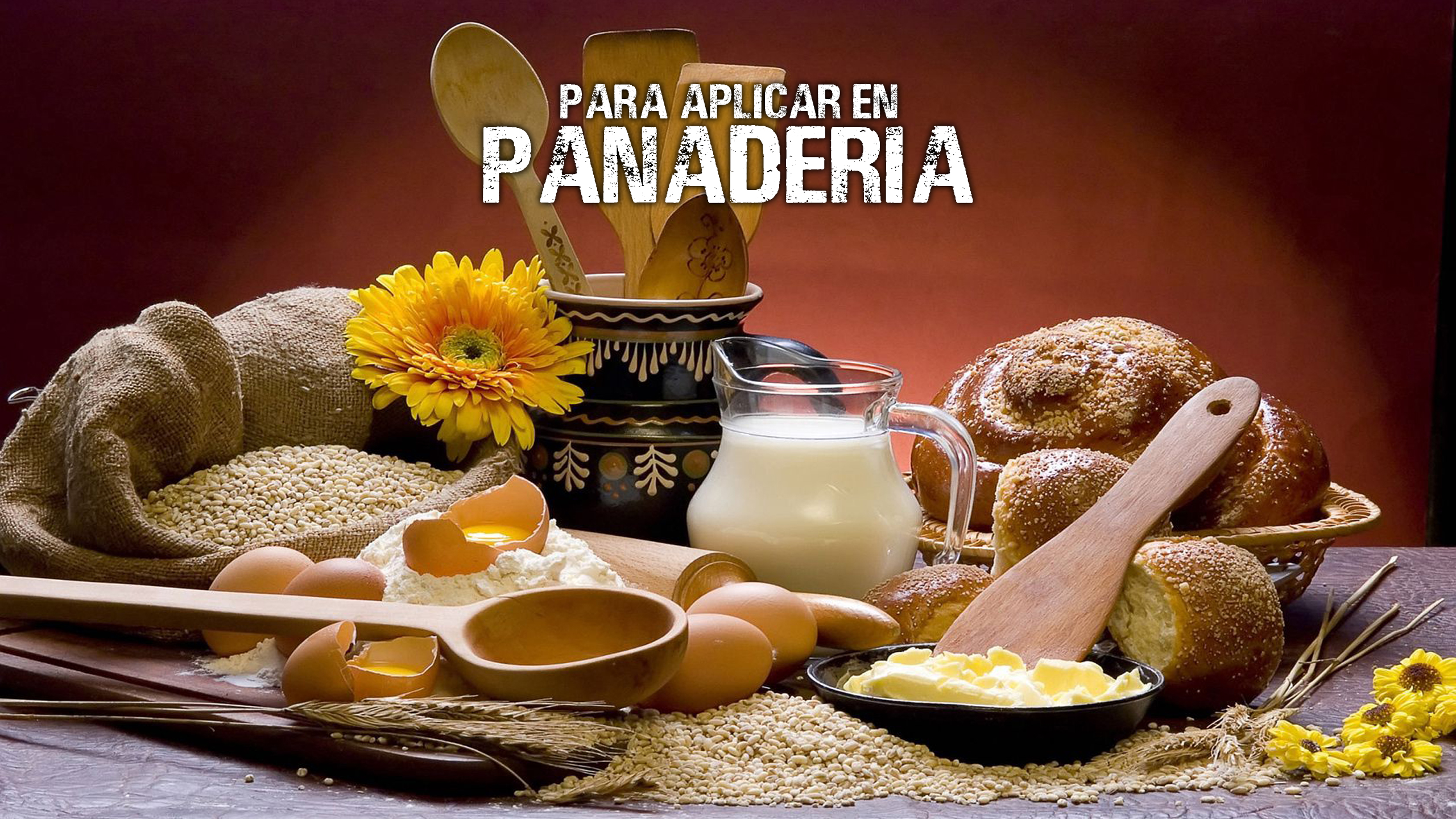 Banner Inicio Panaderia